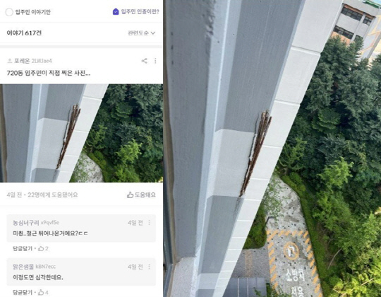 한 신축 아파트 외벽에 철근이 돌출된 모습과 댓글 반응. 온라인 커뮤니티 뽐뿌 캡처.